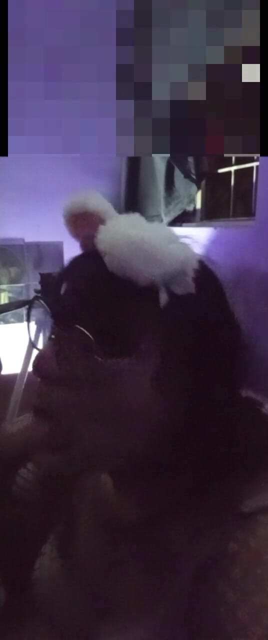 Luississytv: Tôi là một người chuyển giới ngoan ngoãn và tôi...