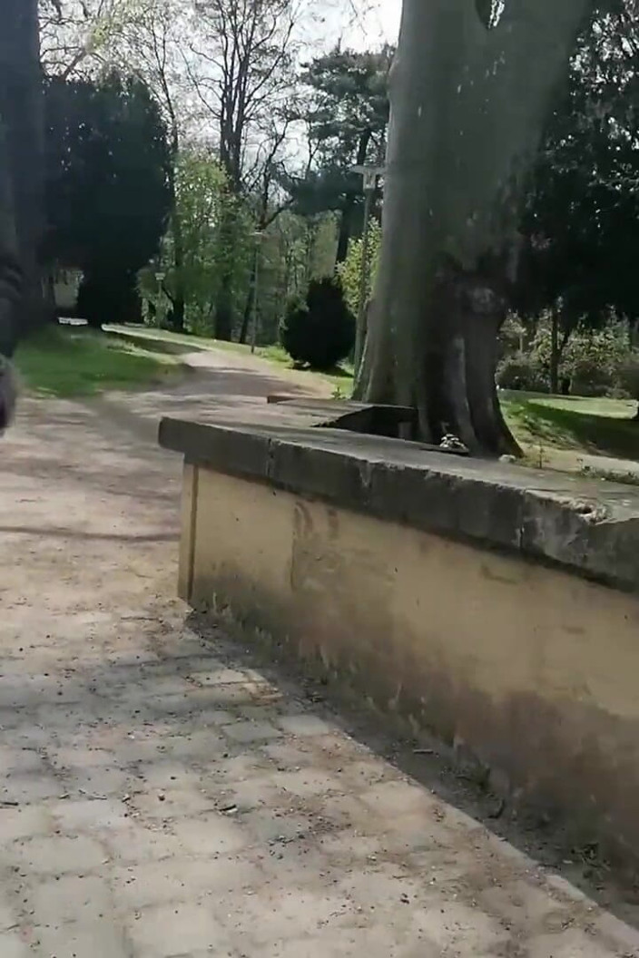 Mike Vonberg: Walk Through the Park with a Beautiful Slut with Wet...