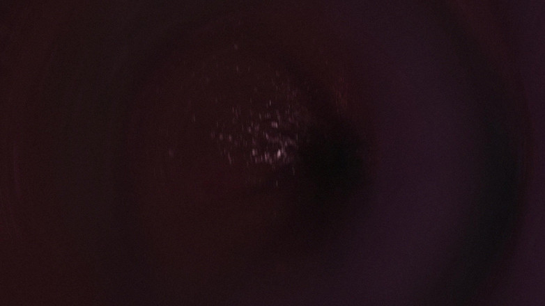 Asdfghjl2025: B025 亚洲美女触手隶坐脸，放屁，舔肛