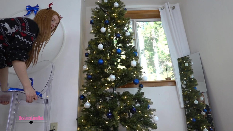 Destination Kat: Memasang Pohon