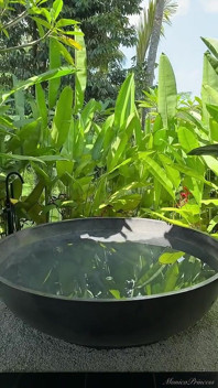 Déchaînez-vous avec moi dans un bain de jungle torride à poil