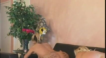 Perfect Porno: Shy MILFS rides nicely on big dick