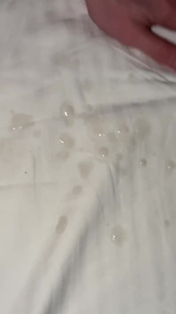 I Fuck the Bed Little and Then Cum on It