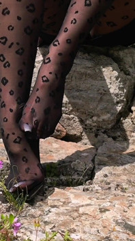 Panty's En Louboutins Vebalar