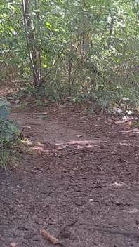 Walk in Forest in Whore Outfit Jerk off and Cumshot