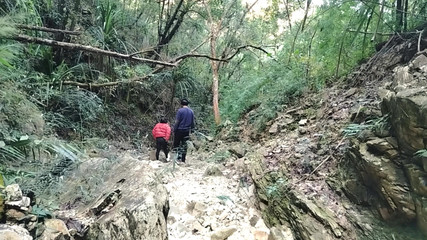 Lustybaby605: Nepal orman maceraları 2.4- jungle main mangal