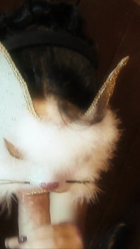 Catlicks volumul 1