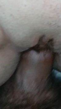 Jak pěkné, když se pták protahuje ráno, jakmile se probudím!