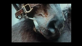 Hairy Pussy Wives Shared with Their Favorite Cocks (full Movie)