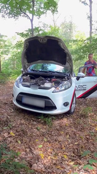 Car Trouble, Forest Temptation - Sandra Sugar & Mugur