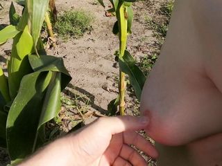 Jana Owens - Extreme BDSM: Gifle-moi dans le champ de maïs