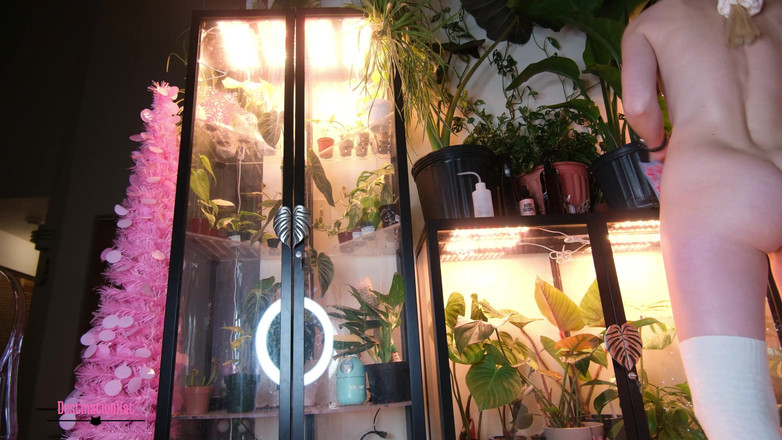 Destination Kat: Stumme baumdekorieren