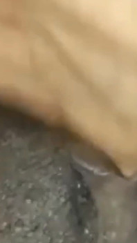 흑인 보지