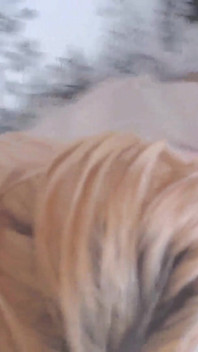 Vidéo en solo