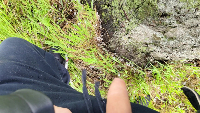 Bayer911: Oak द्वारा पाई