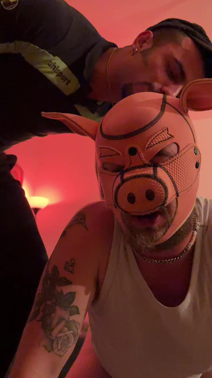 Cristo kink: Odla grisen