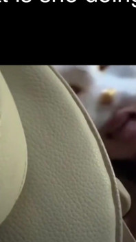 What Is She Doing in the Car?