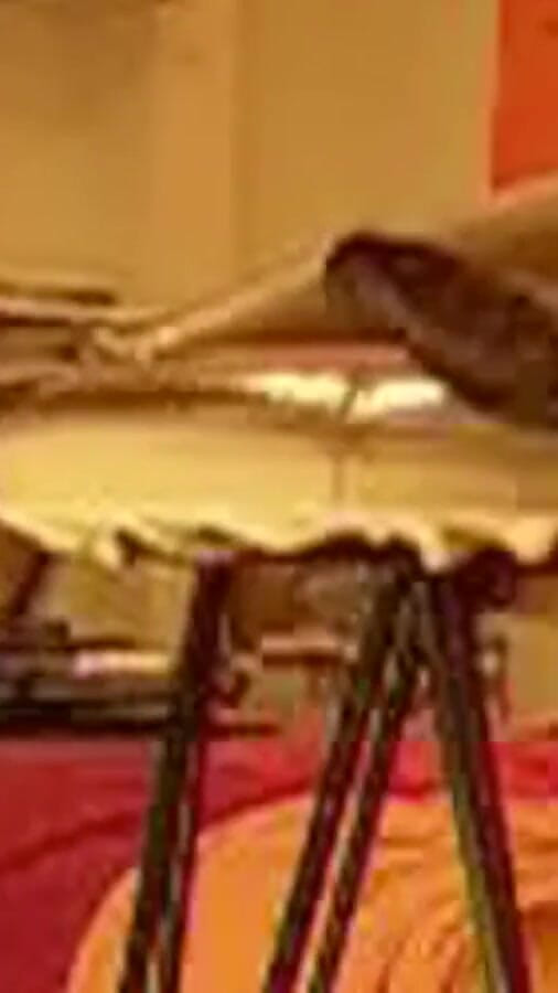 Please No! Not My Feet! (TVI Studios Val Parker) Please No! Not My Feet! (TVI Studios Val Parker)
