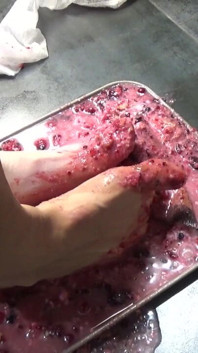 I Pee in Your Cake and Trample It with My Feet