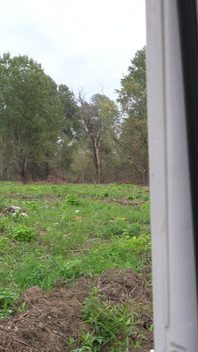 I Show My Boobs in Random Places