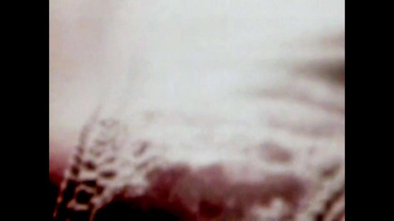 The Unforgettable: Divoký hříbě