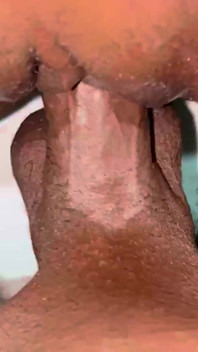 This Is How I Put My Dick in My Neighbor's Pussy, Black Porn Videos XXX