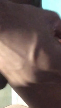 Sólo masturbace plácání moje velké černé péro sténání edging