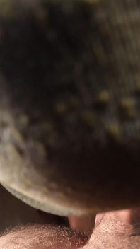 POV Interracial Blowjob with a Big White Cock and a Sweet Ebony Mouth That Receive a Huge Load in Mouth