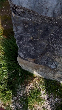Mädchen kann nicht entgegenkommen, auf dem alten schloss gefickt zu werden - öffentlicher blowjob, doggystyle und fast erwischt