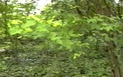 No Intimacy - Full Movie - Italian Video Restored in HD