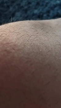 毛深い脚があなたの五感をからかう