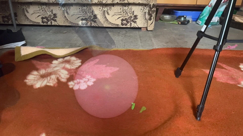 BeachBallsDuo: 100 kg Bigbootylucy Stomps ballonger i höga klackar! 2 kameror med...