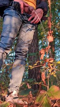 Forest Walk