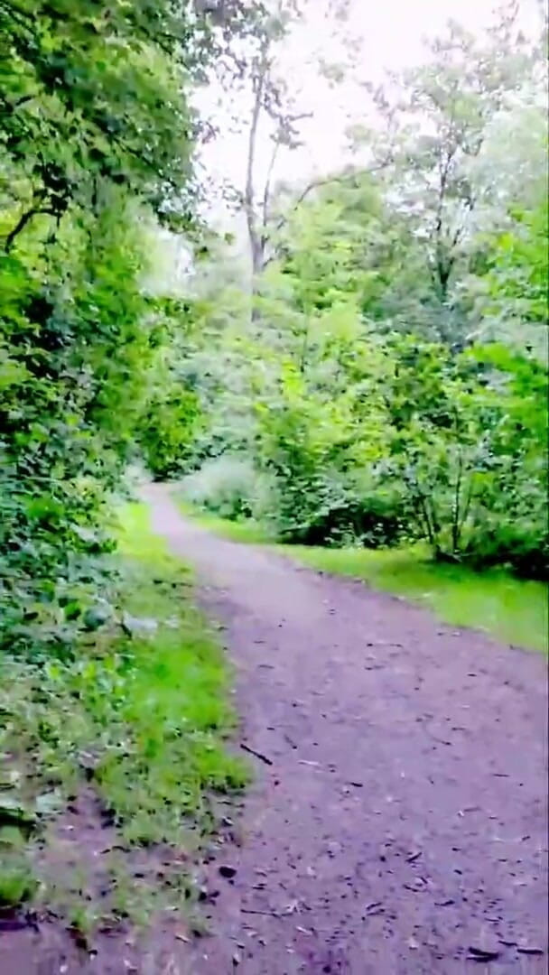 Slutboyben: Slutboyben cam4 сексуальний член повії публічно