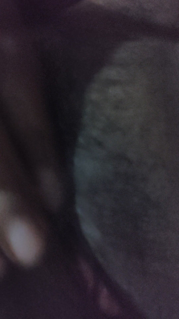 Dr_doom21: Дезі домогосподарка