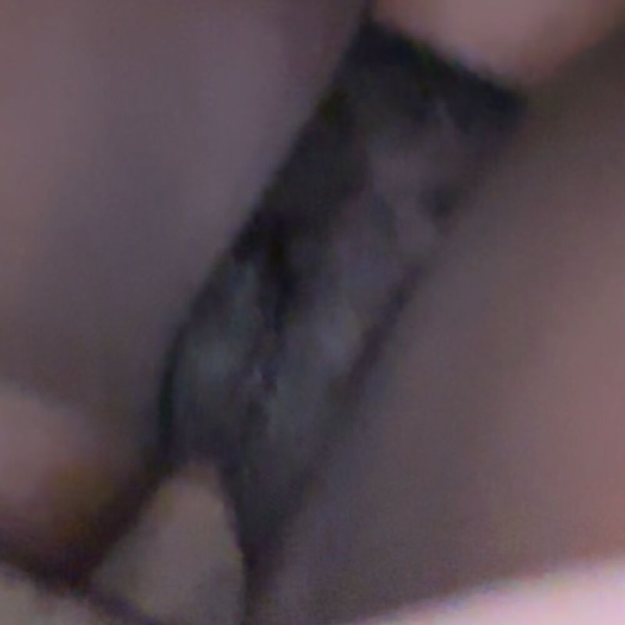 Faphouse