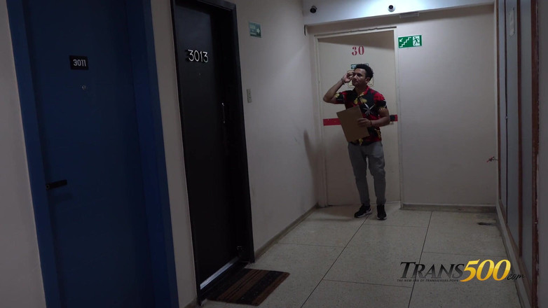 Trans 500: Šukání se slečnou ferraz