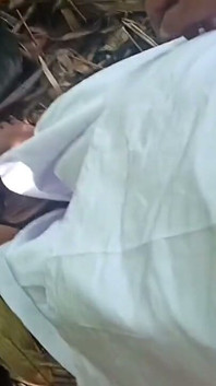 더 많은 팁을 절약하기 위해 숲에서 작업