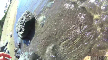 Nylondelux: Ciorapi nud pe plajă