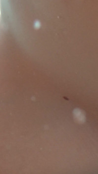 Underwater Fuck