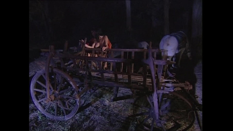 Vintage megastore: Sexy vintage děvka s velkými prsy a těsnou kundičkou ošukaná...