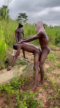 BBC Afrika Im Freien