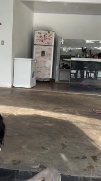 Adik tiriku ngeliat aku ngentot sama suaminya