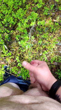 Horny in Forest