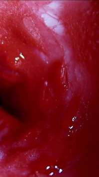 Tatlı delikte çok yakın büyük sperm akışları asmr ıslak gıcırtılar