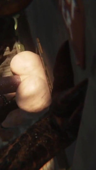 Robaatoo Zmsfm Nymphomaniac Used as Sexual Object: Intense Anal Sex, Hot Gaping Ass, Dirty Cum Receptacle, Craving Monstrous