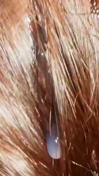 Acest Remediu Natural Îți Va Întări PĂRUL! Ejaculare Pe Păr. Periatul Spermei În Păr.