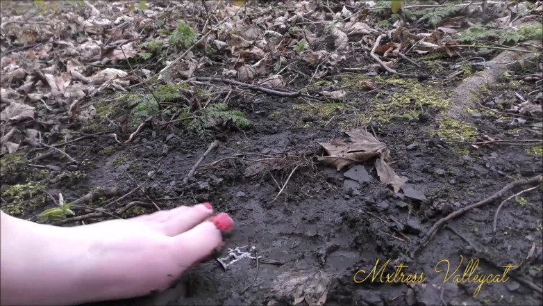 Mxtress Valleycat: Succubus shrinks you in the woods