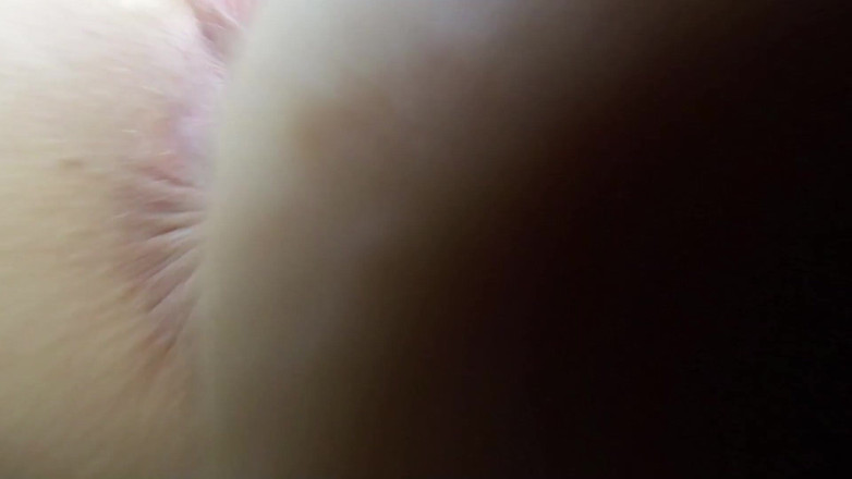 Jimmy Draws: Annabel Lee - estilo face-sitting dos anos 60