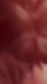 Brittany Andrews et Vanessa Spencer chevauchent et traitnt une bite !